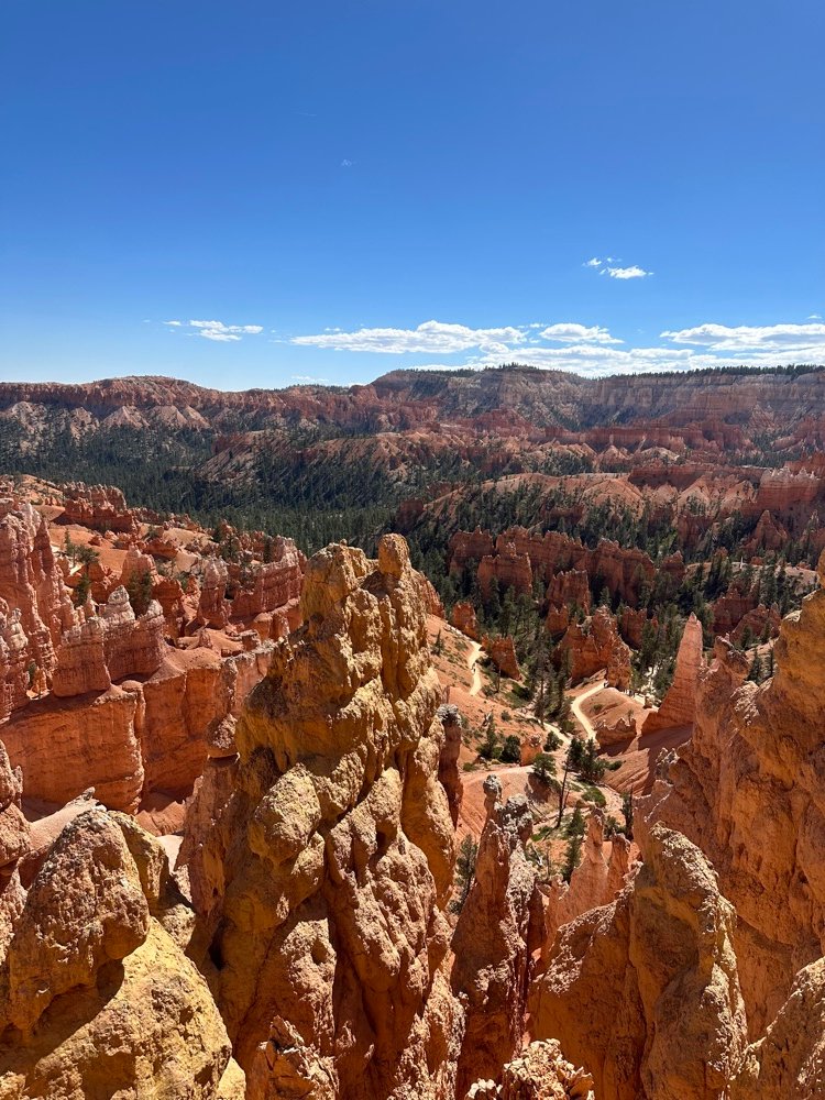 Wide view across the canyon with the switchback trail cutting through it.